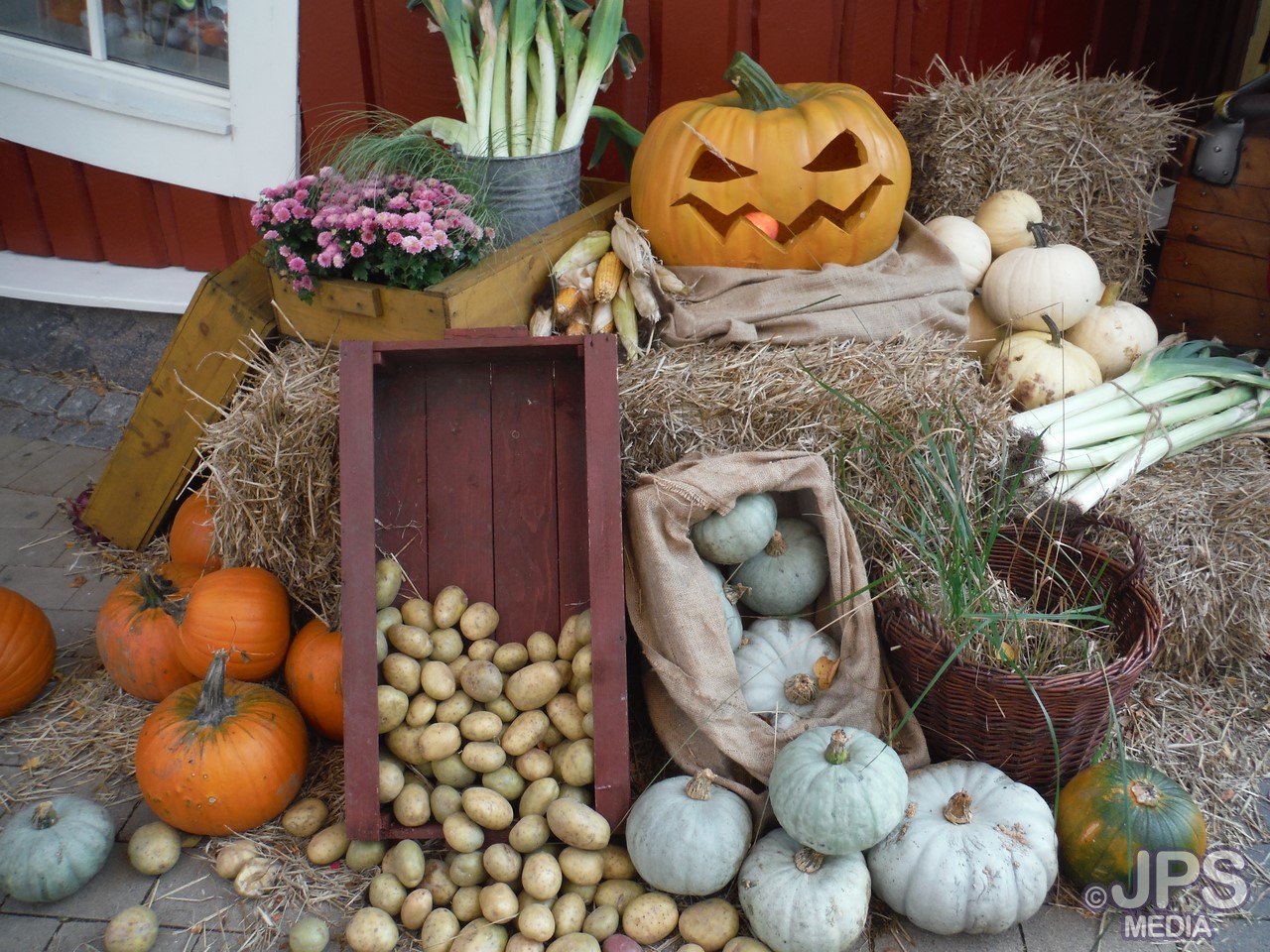 Halloween Liseberg (foto Belinda Graham)